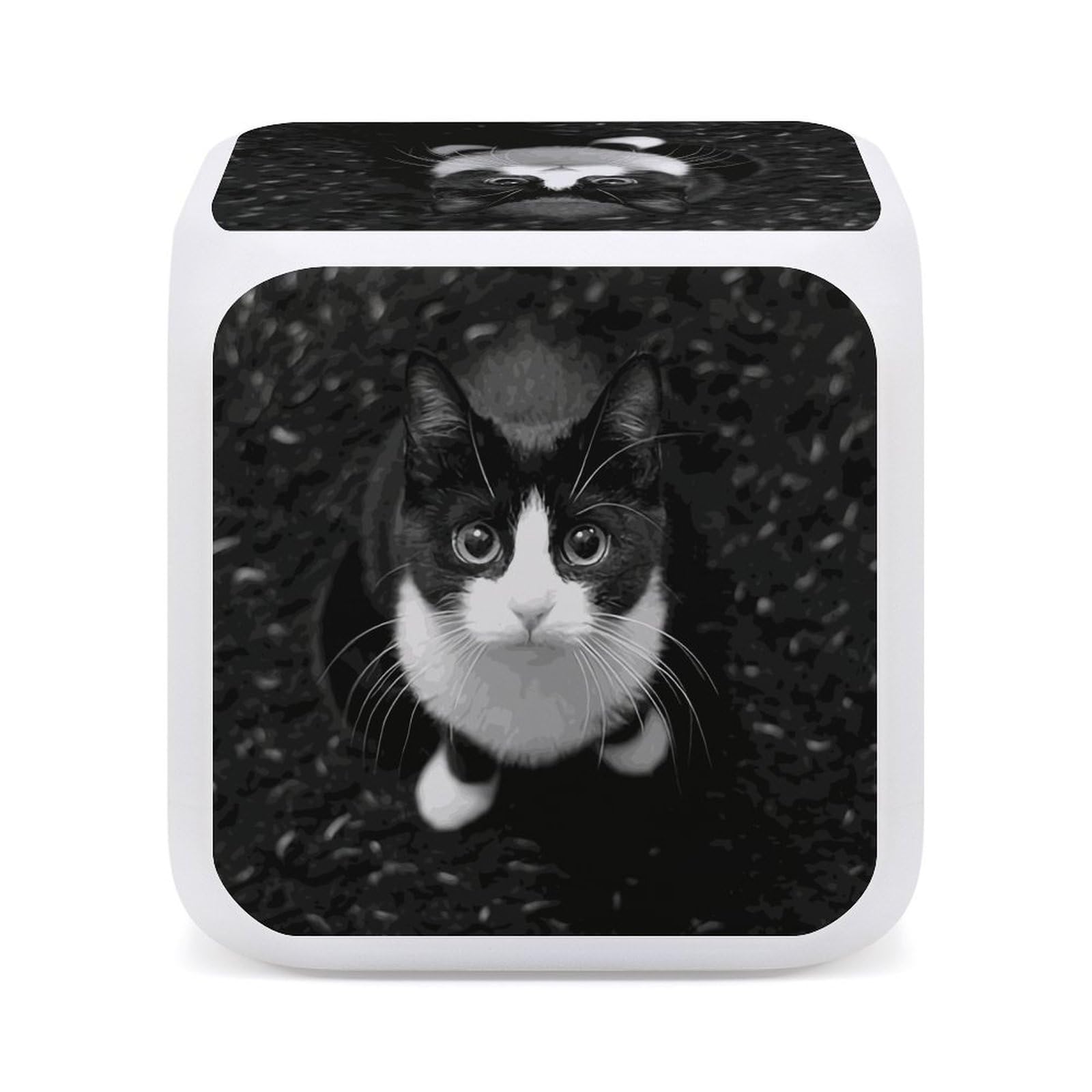 猫ナイトさま専用商品 lgh024-1.jpg